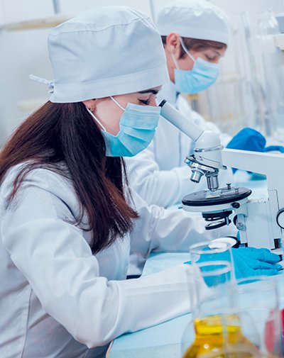 Shree Paras Overseas - Sweeteners & Chemical Solutions